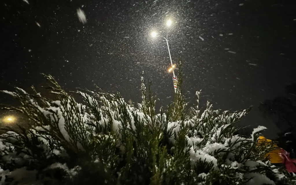 В Брянске объявили конкурс на ремонт за 100 миллионов рублей уличного освещения