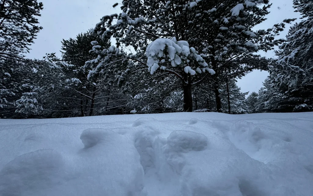 В Брянской области ввели «оранжевый уровень» опасности погоды из-за сильных морозов