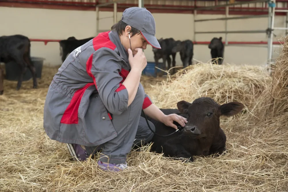 Стала известна история знаменитой фотографии из Брянской области