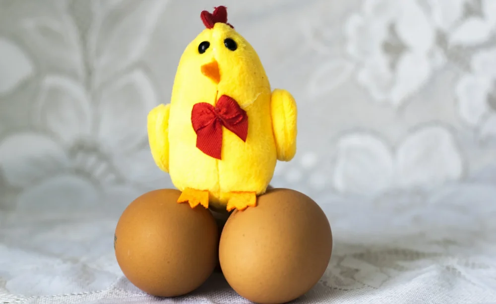 Жителям Брянской области сообщили, что куриные яйца уже не подешевеют