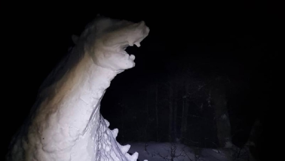 В брянском посёлке Белые Берега поселился дракон