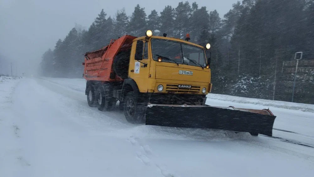 В Брянской области на битву со снегом вывели 194 машины