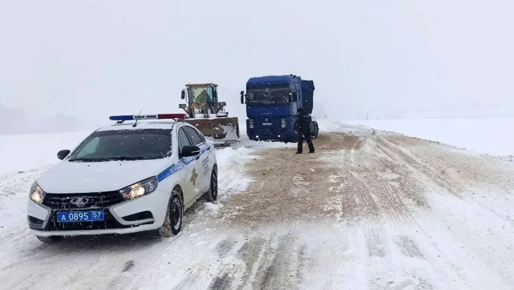 Орловские полицейские помогли брянскому водителю-дальнобойщику