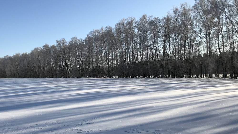 Жителям Брянской области рассказали о погоде в феврале