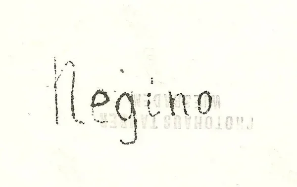 В сети обнаружили уникальный снимок брянского села Негино