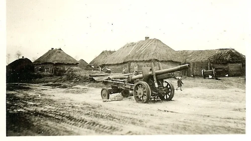 В сети обнаружили уникальный снимок брянского села Негино