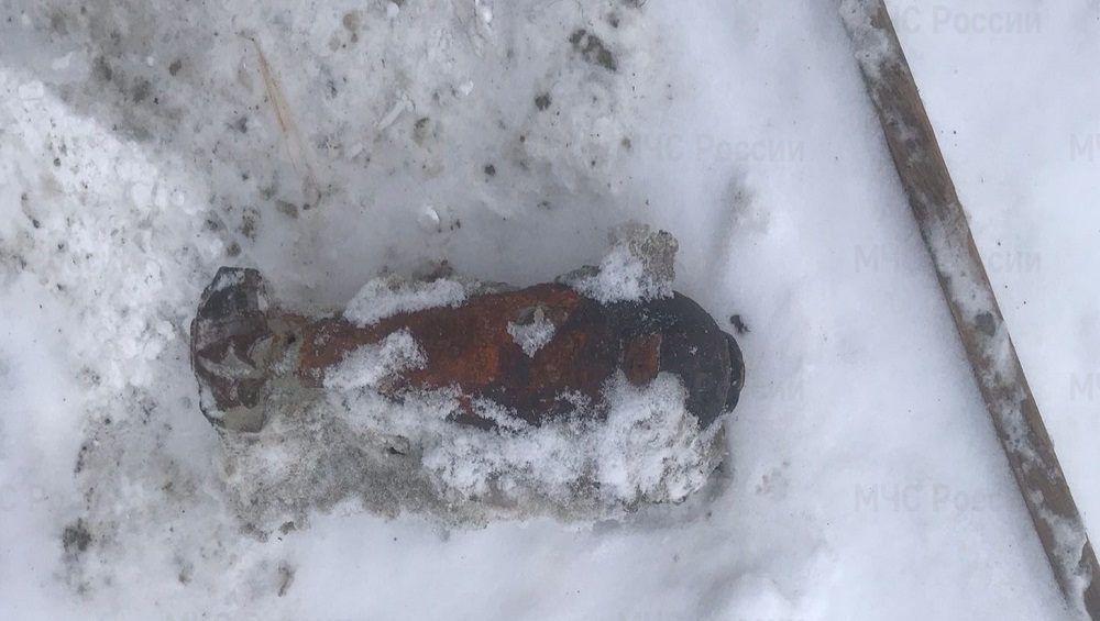 В Выгоничском районе спасатели 17 января обезвредили две мины и гранату