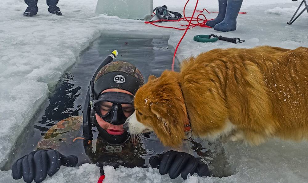 Закаленных брянских ныряльщиков поразило Керамзитное озеро