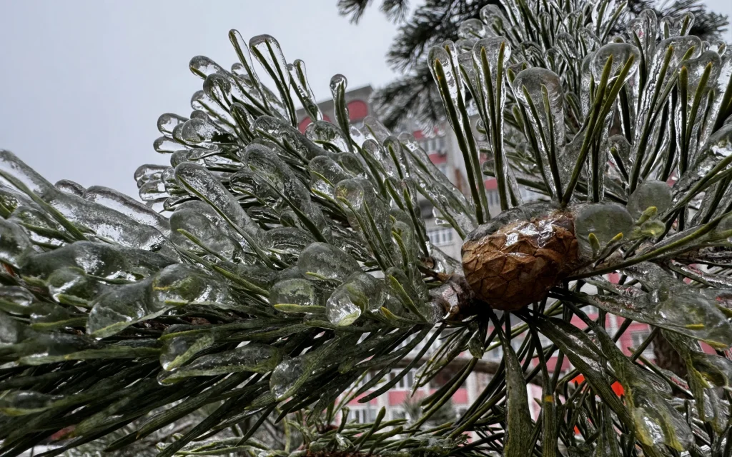 В ночь на воскресенье в Брянской области похолодает до 6 градусов мороза