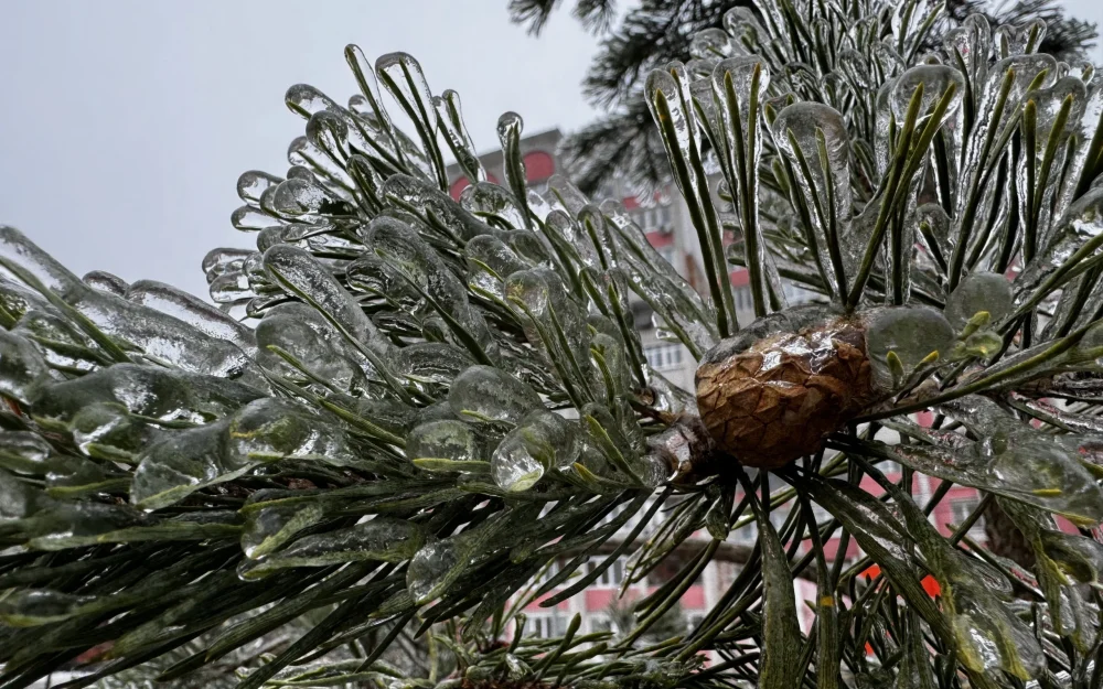 В ночь на воскресенье в Брянской области похолодает до 6 градусов мороза