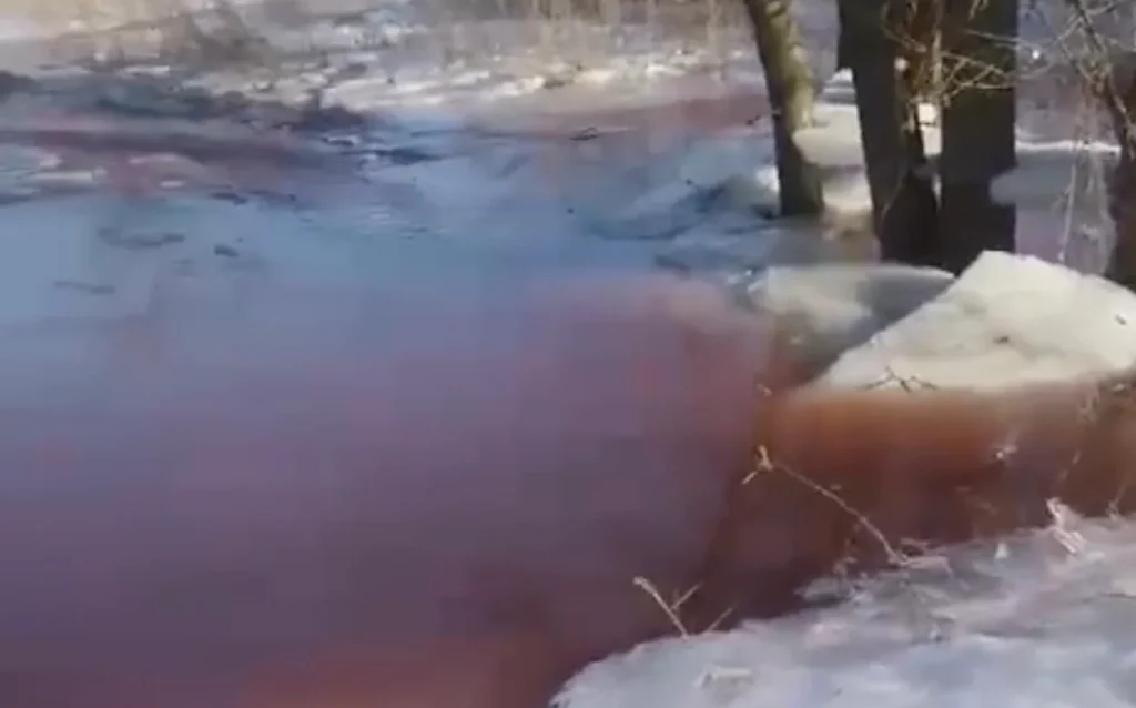 Жители Севского района Брянской области сообщили о загрязнении реки Сев