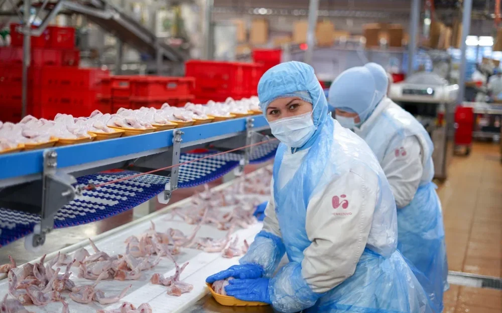 Предприятие «Куриное царство — Брянск» за счет модернизации нарастило производство на 17 процентов