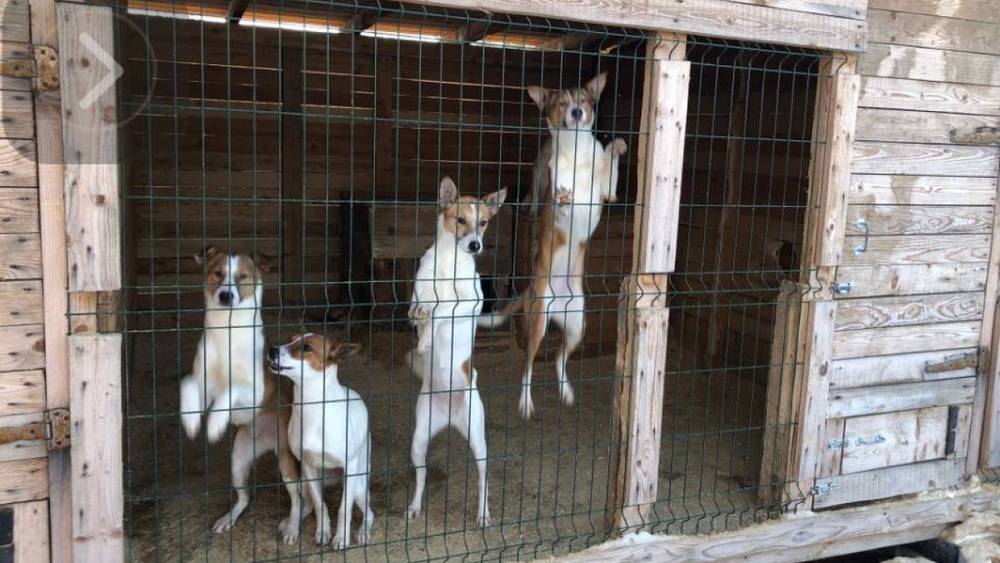 Депутат Брянской областной Думы Михаил Иванов: Добро всегда возвращается добром