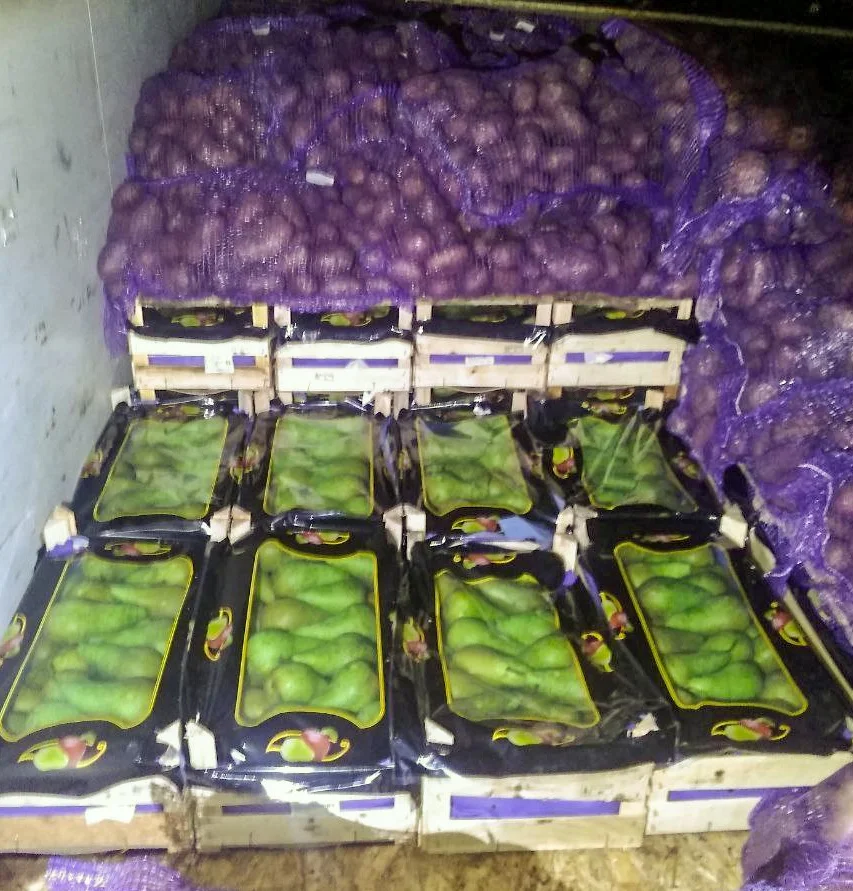 В Брянской области белорусские груши чудом «превратились» в картофель