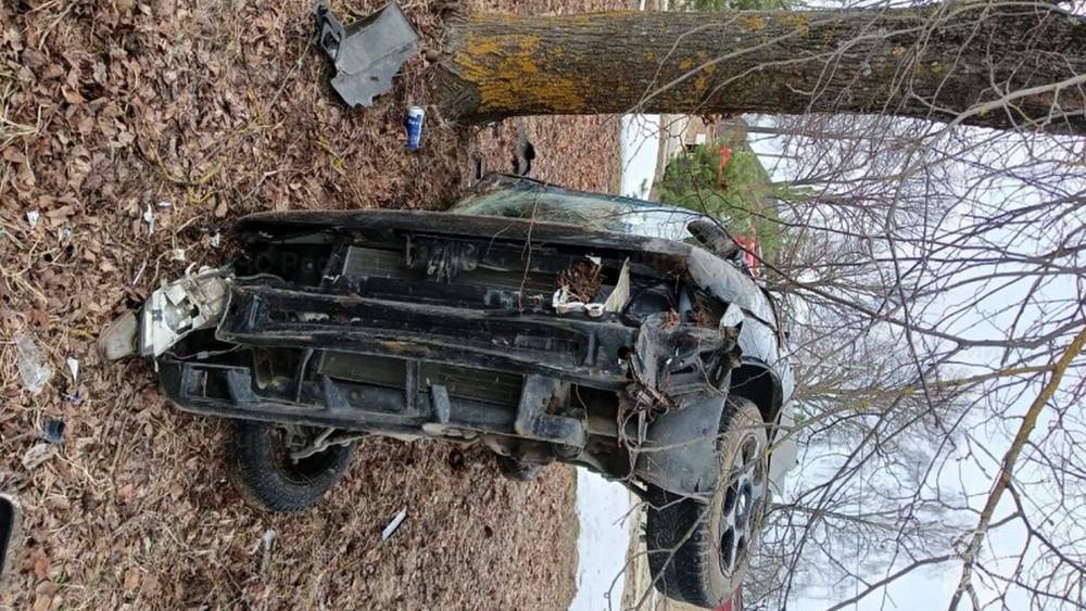 В Любохне Брянской области автомобиль врезался в дерево и перевернулся