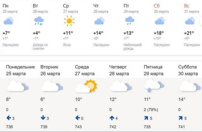 Синоптики пообещали летнее тепло в Брянской области