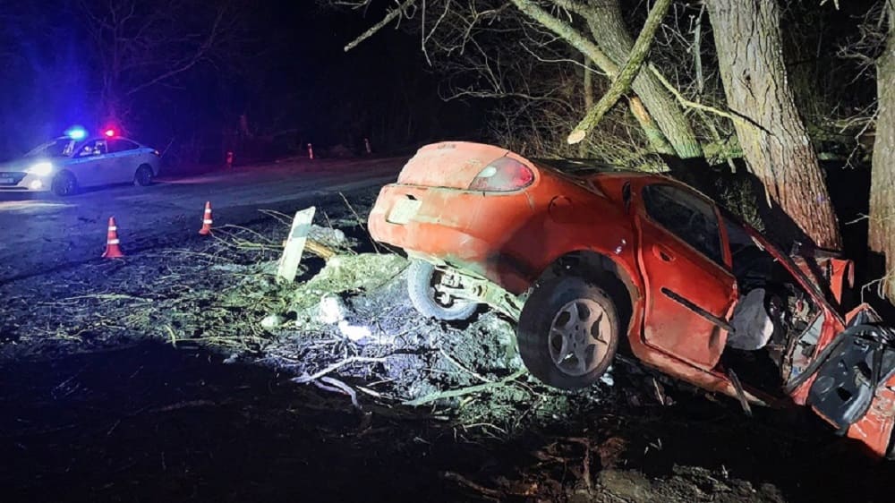 Под Навлей 17-летняя девушка погубила подругу-ровесницу на подаренном отцом автомобиле