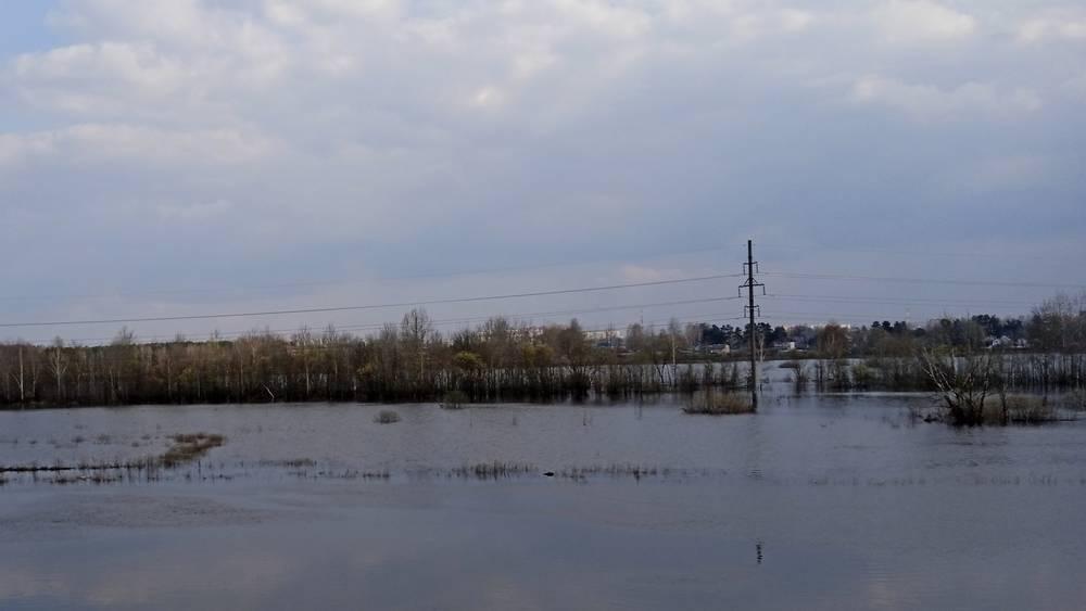 В Брянске уровень воды в Десне за сутки понизился на 11 см, в Болве – на 16 см