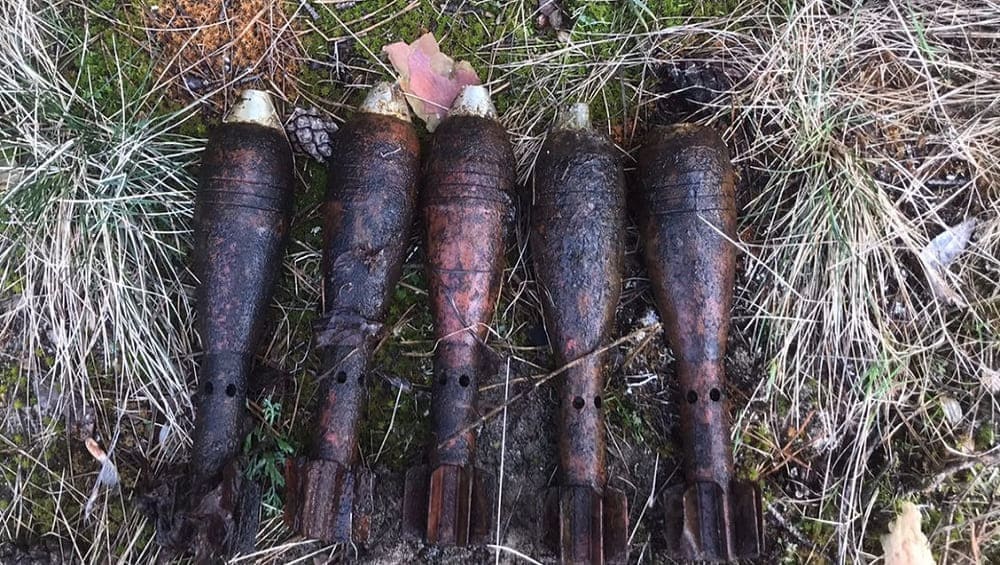 Под Погаром Брянской области на берегу реки Судость обнаружили пять мин