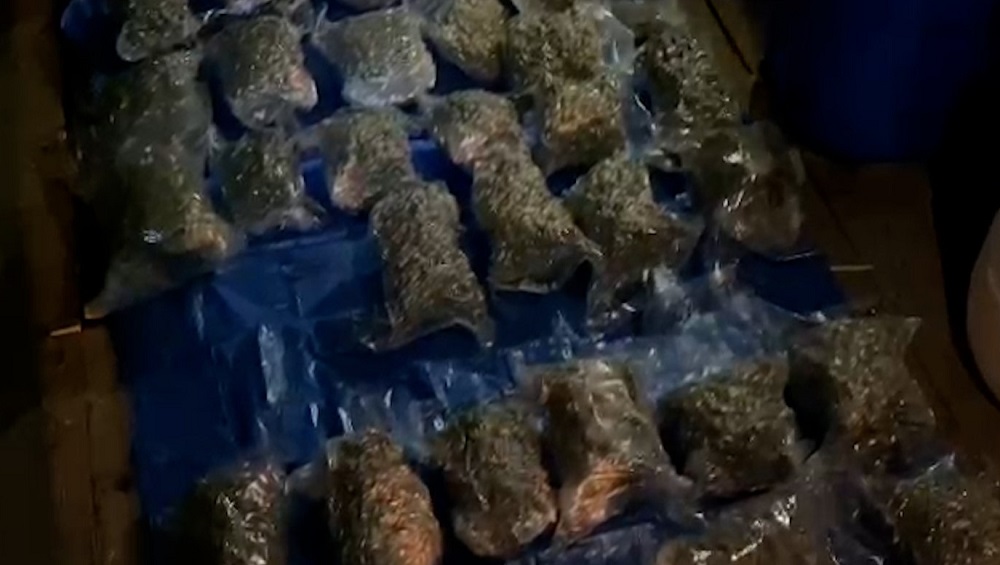 В Трубчевском районе в гараже 26-летнего парня обнаружили 15 кг марихуаны