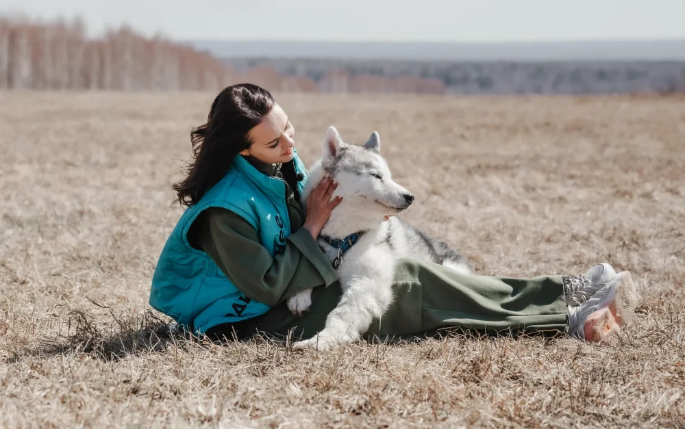 Ветеринарный центр: помощник в заботе о питомце