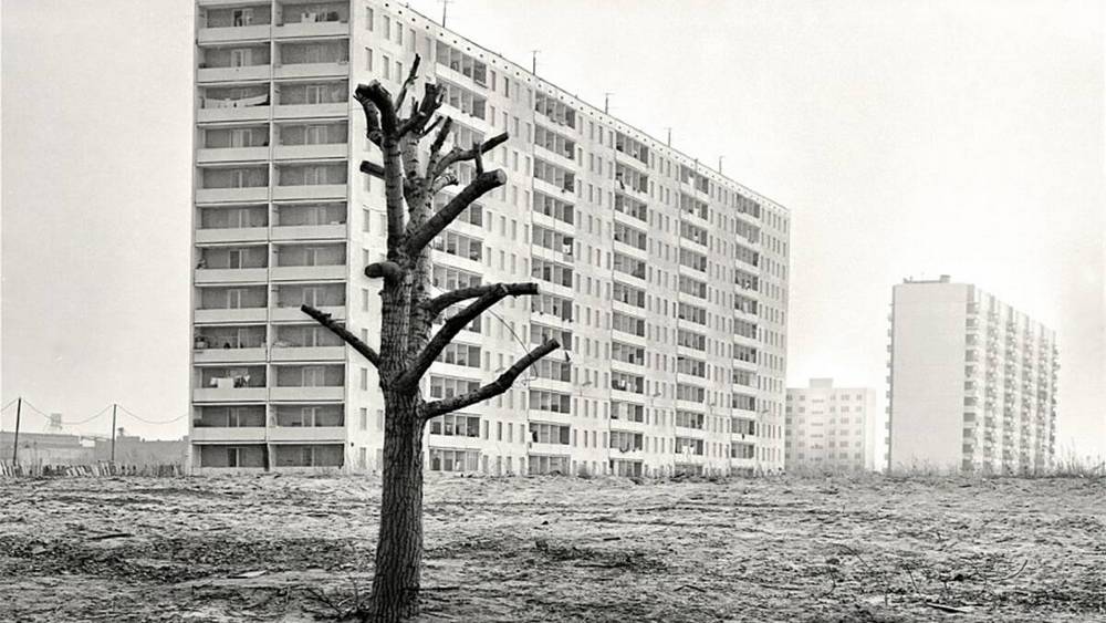 Брянцам показали фото «лунного пейзажа» Московского микрорайона 38 лет назад