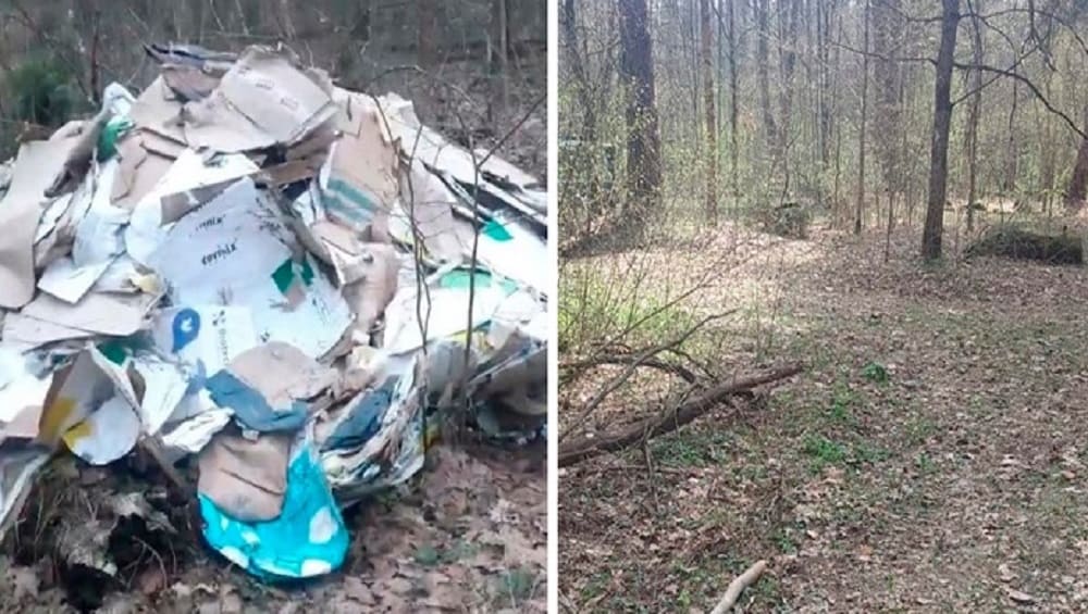 Под Брянском лесников заставили убрать свалку макулатуры возле поста ГИБДД