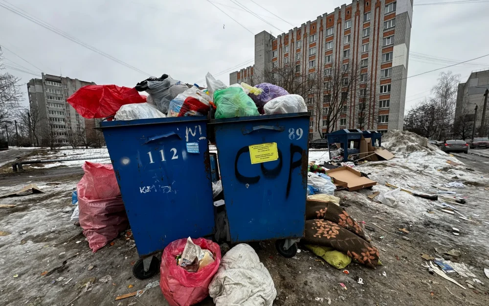 Брянская мэрия пригрозила наказать выбросивших мусор «недоносков» 
