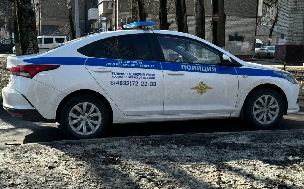 С начала года в Брянске полиция поймала 994 любящих мрак водителей