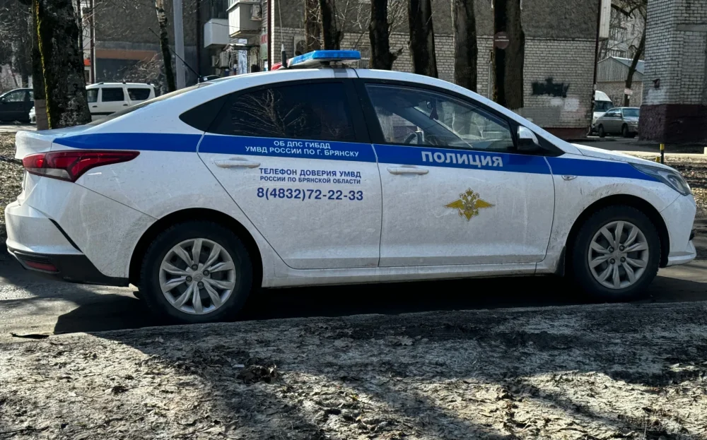 С начала года в Брянске полиция поймала 994 любящих мрак водителей