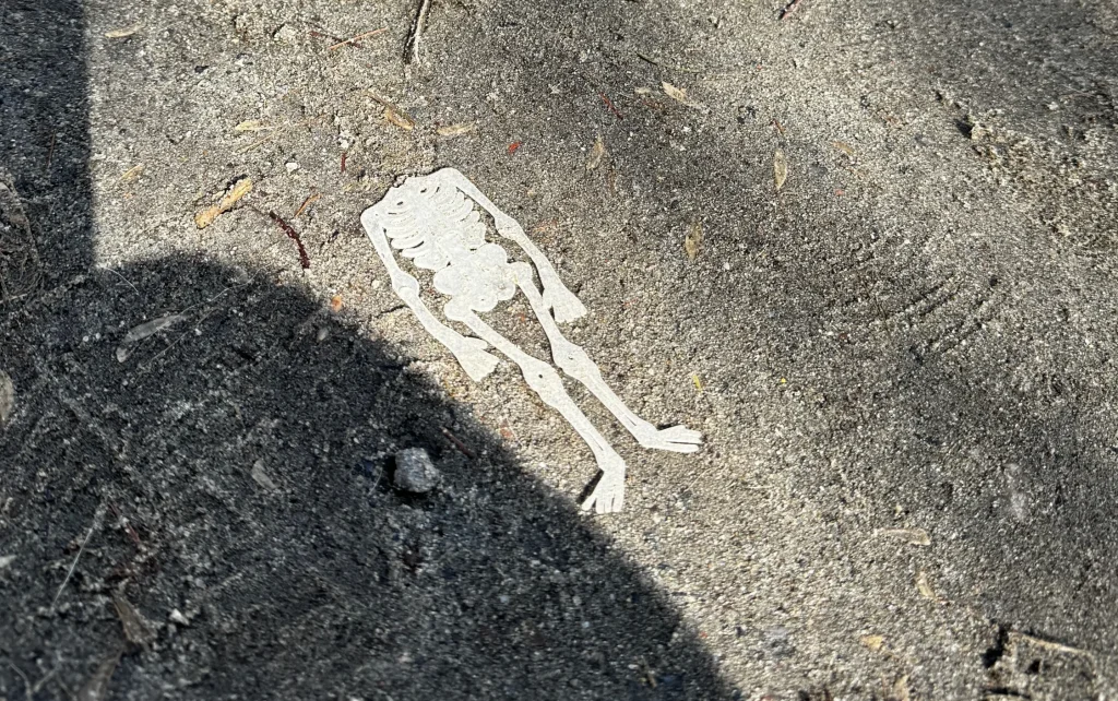 В Брянской области смертность в 2,4 раза превысила рождаемость