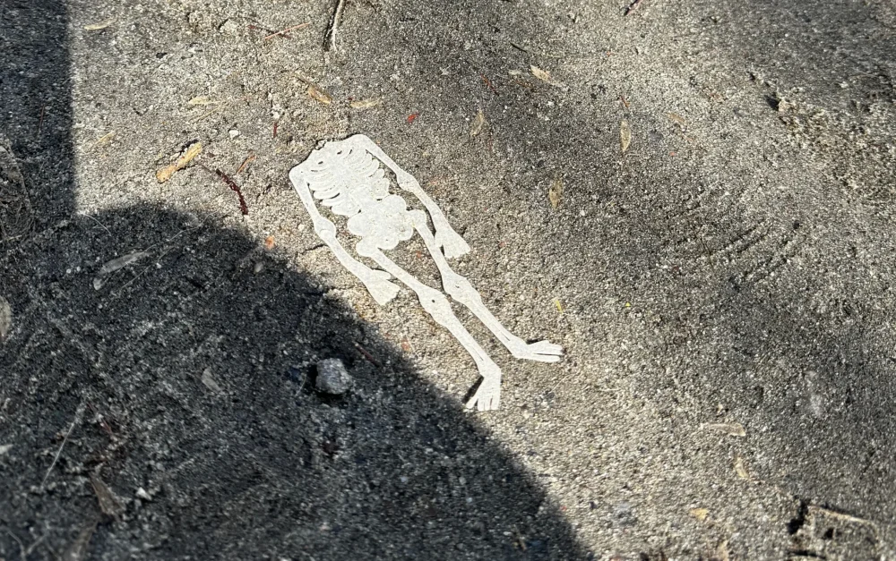 В Брянской области смертность в 2,4 раза превысила рождаемость