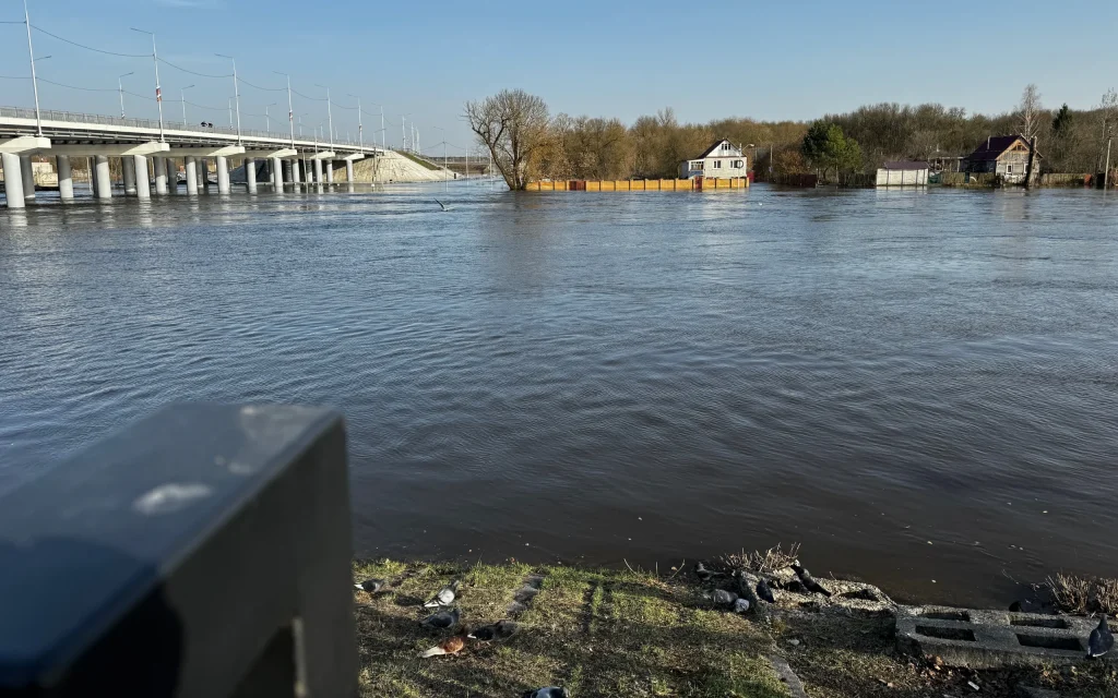 Вода начала затапливать жилые дома в Брянске