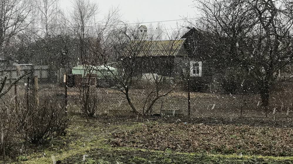 В Брянской области 29 ноября синоптики пообещали 6-градусный мороз