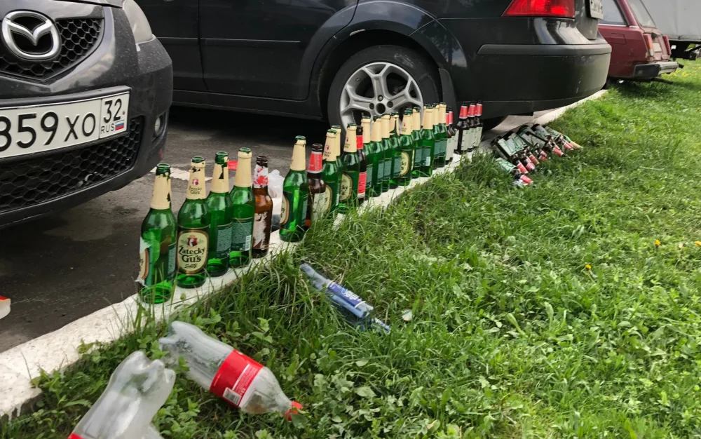 Жителей Брянской области попросили не пить во время майских каникул