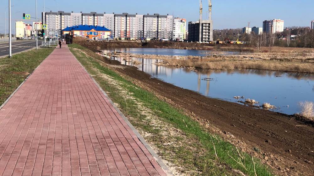 Роскошный пойменный луг в Брянске превратили в страшилище