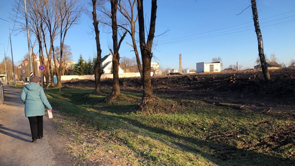 В Брянске после скандала подготовили площадку под строительство возле «Снежки»