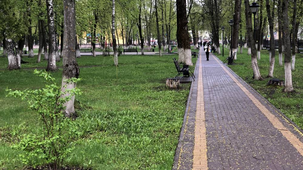 Брянцы признали парк и площадь возле ДК железнодорожников примером благоустройства