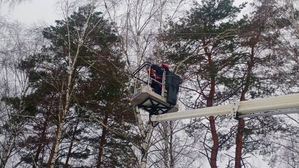 «Брянскэнерго» расчищают охранные зоны ЛЭП