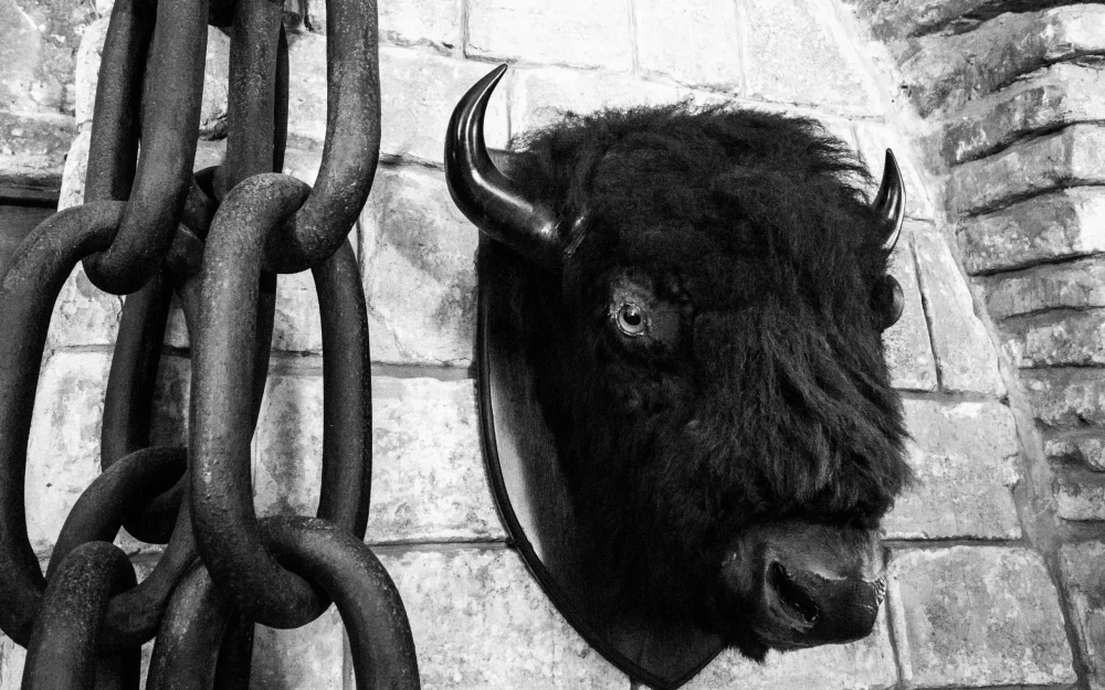 Суд рассмотрит дело брянца, который избил и приковал приятеля за шею к батарее