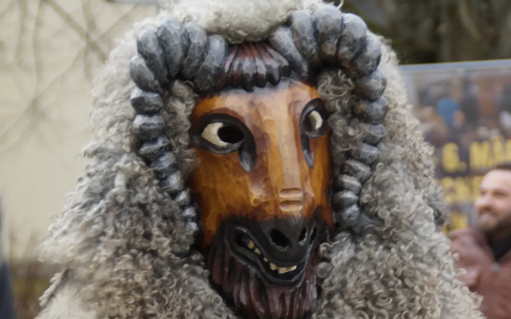 Дети стали превращаться в диких животных: Брянск увлечение пока не затронуло