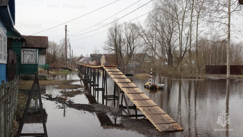 Вода начала затапливать жилые дома в Брянске