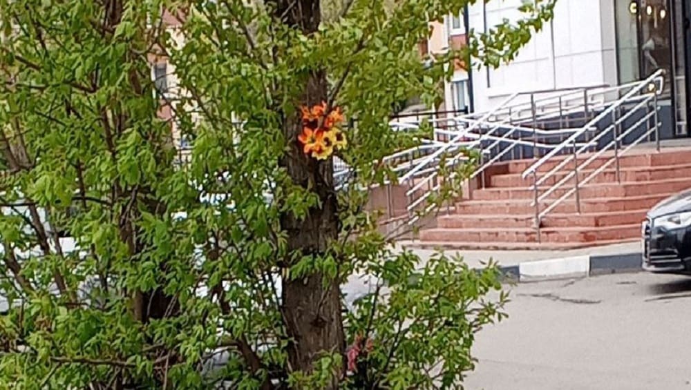 В Брянске появились цветы на месте смертельного ДТП со сбитой на остановке женщиной