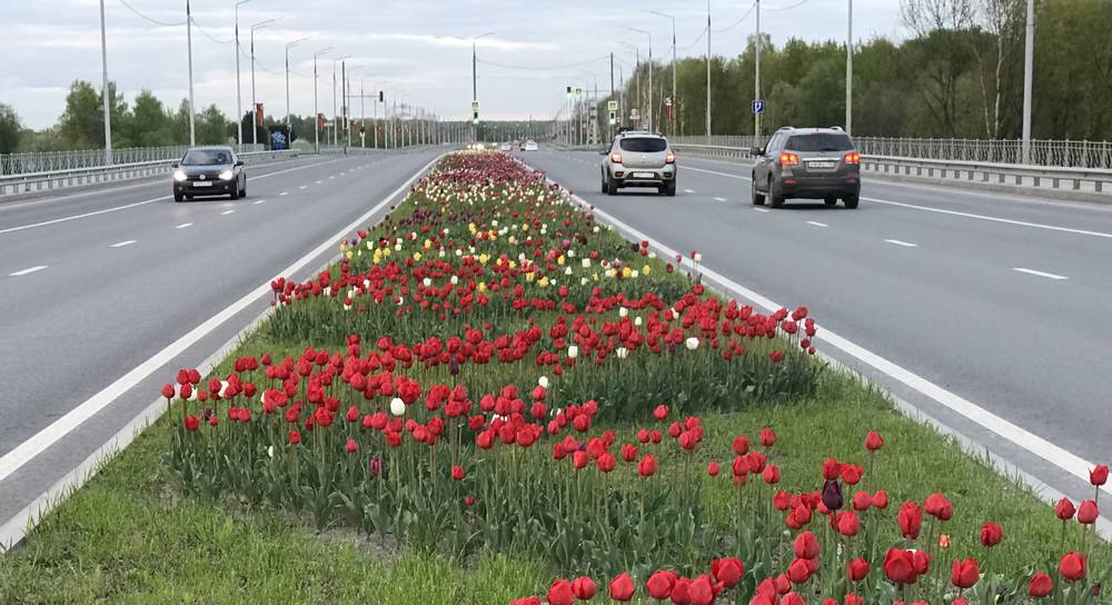 Париж рядом не стоял: в Брянске появились чудесные места