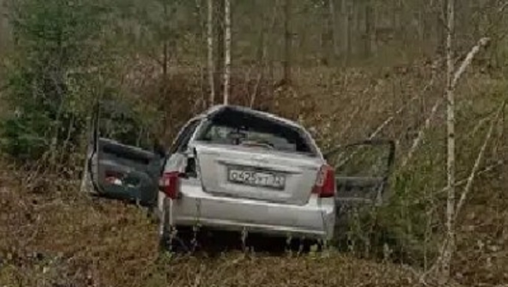 Под Брянском спасатели извлекли человека из разбившейся на трассе легковушки