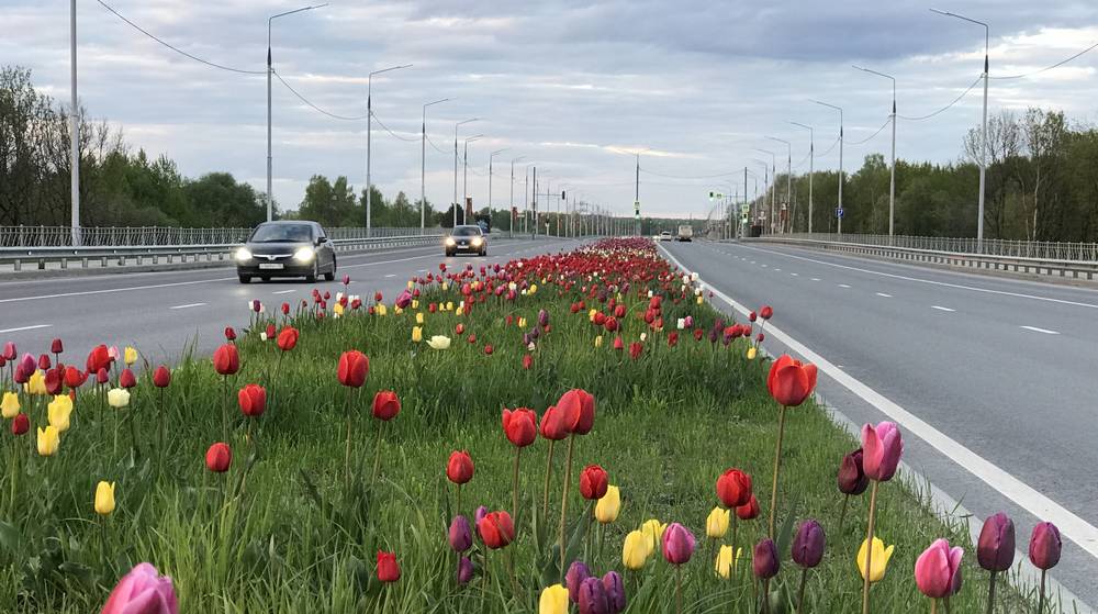 Париж рядом не стоял: в Брянске появились чудесные места