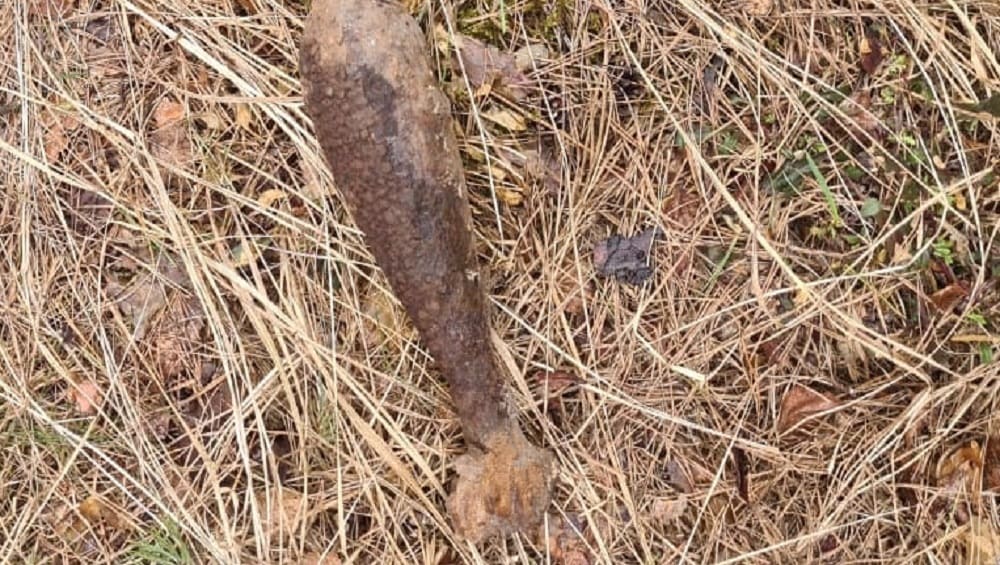 Жителей брянского города Сельцо утром 3 апреля напугала миномётная мина