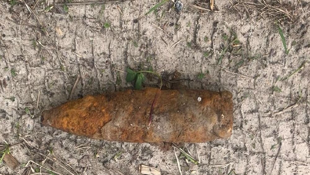 В Навлинском районе Брянской области в лесу обнаружили артиллерийский снаряд
