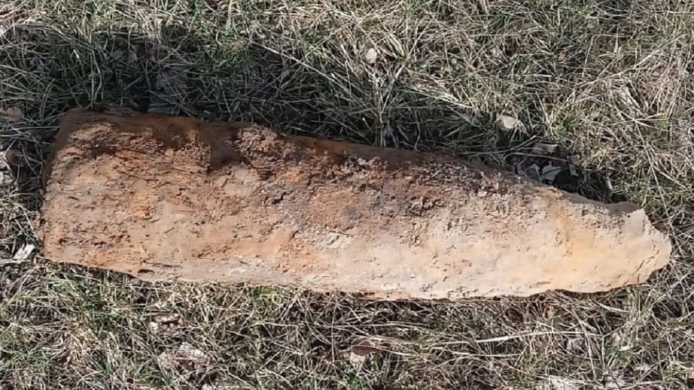 В Брасовском районе Брянской области в поле обнаружили мину и артиллерийский снаряд