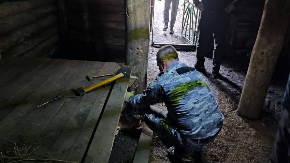 Брянские полицейские задержали браконьеров с тушами двух косуль